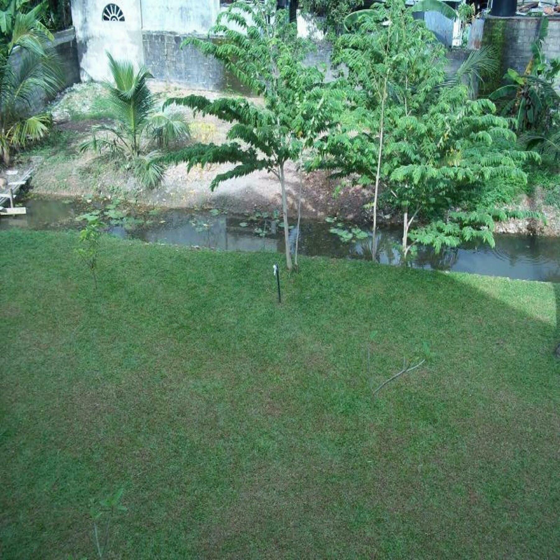 Sunrise Palace Negombo Exteriör bild